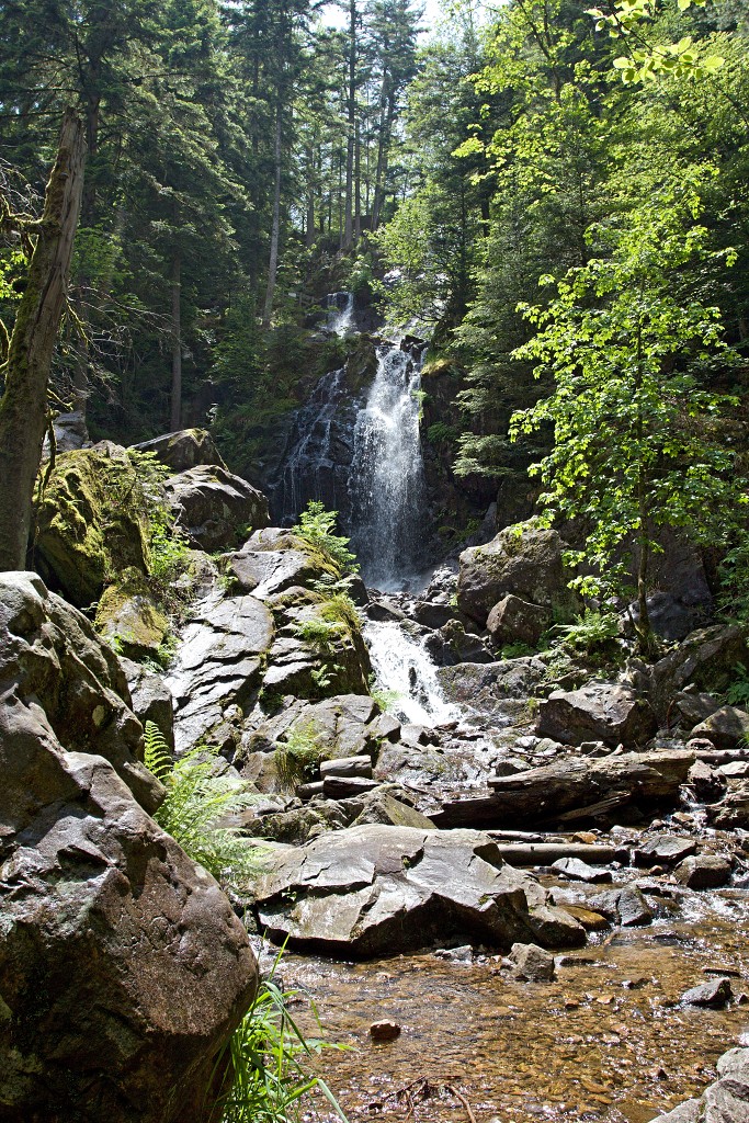 vogezen ardennen belgie frankrijk luxenburg luxembourg france belgique hdr natuur natuurgebied gebergte bergen bos bossen